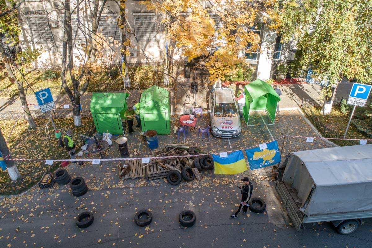 Заняли свою территорию Заняли свою территорию