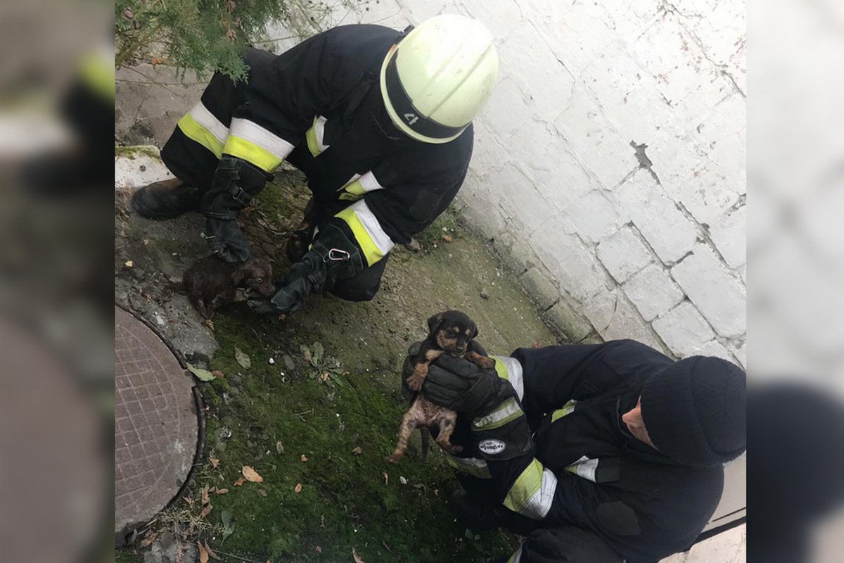 Их достали целыми и невридимыми Их достали целыми и невридимыми