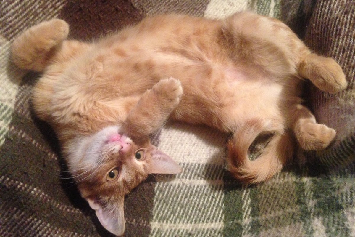 Скучно с ним точно не будет