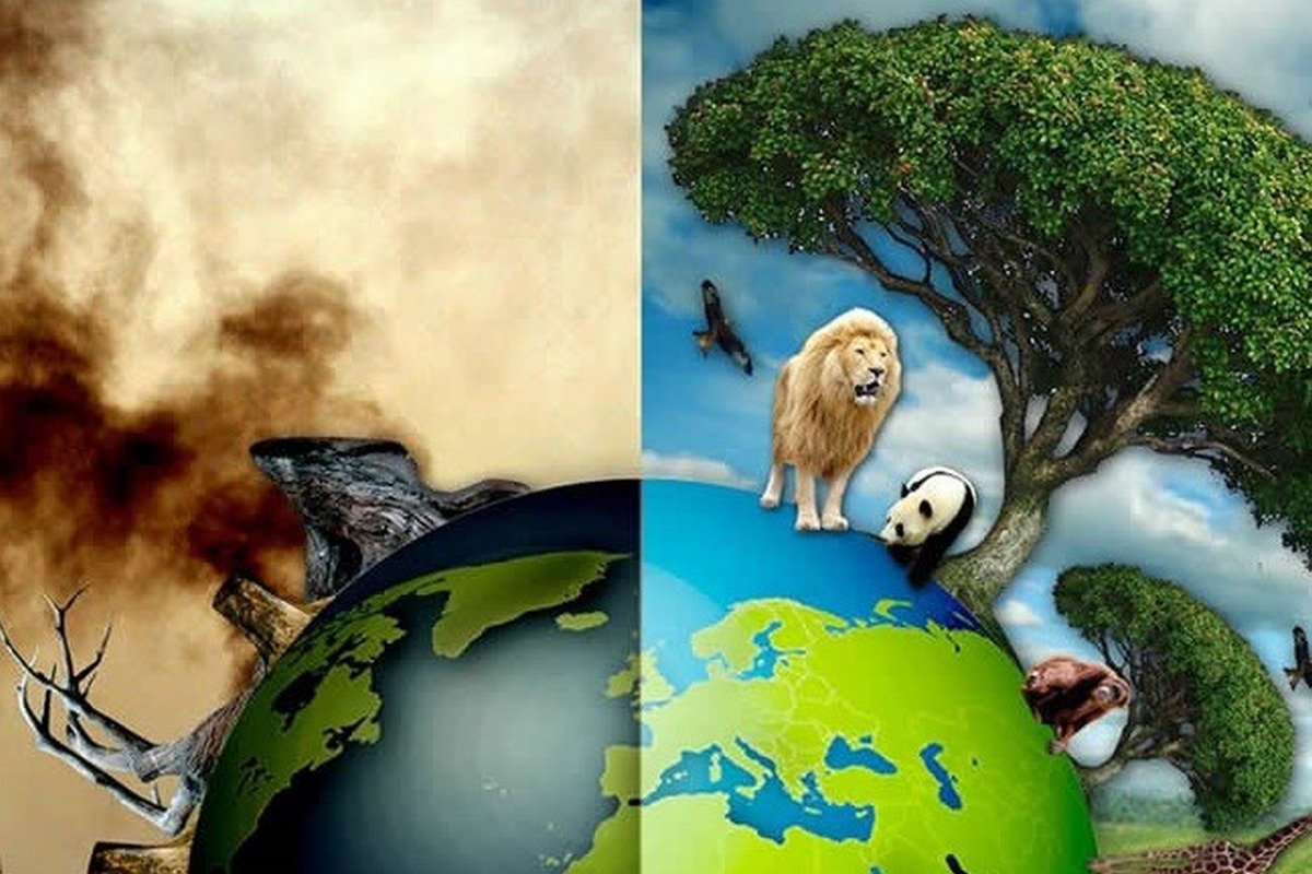 Помочь экологии может каждый