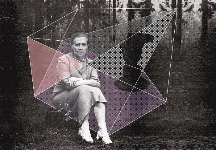 Обучение практической гештальт терапии Обучение практической гештальт терапии