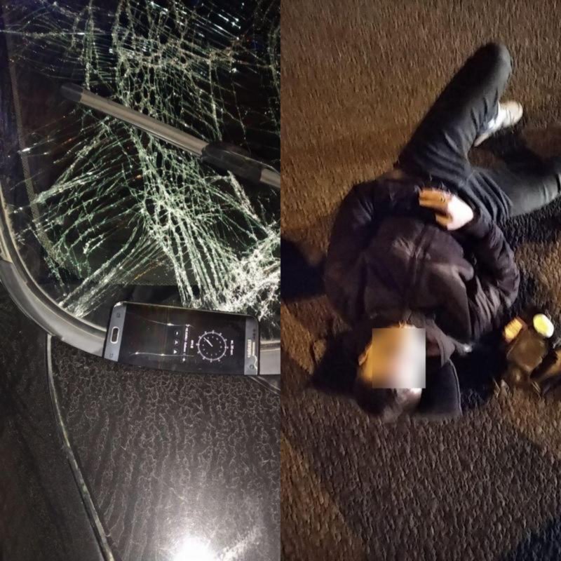 Перебегал дорогу