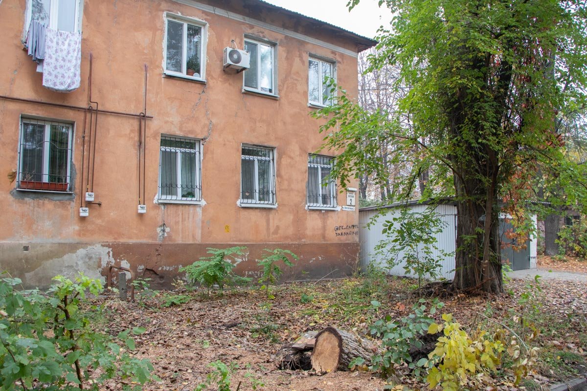 На прошлой неделе возле дома № 2 в Лиственном переулке рухнуло дерево