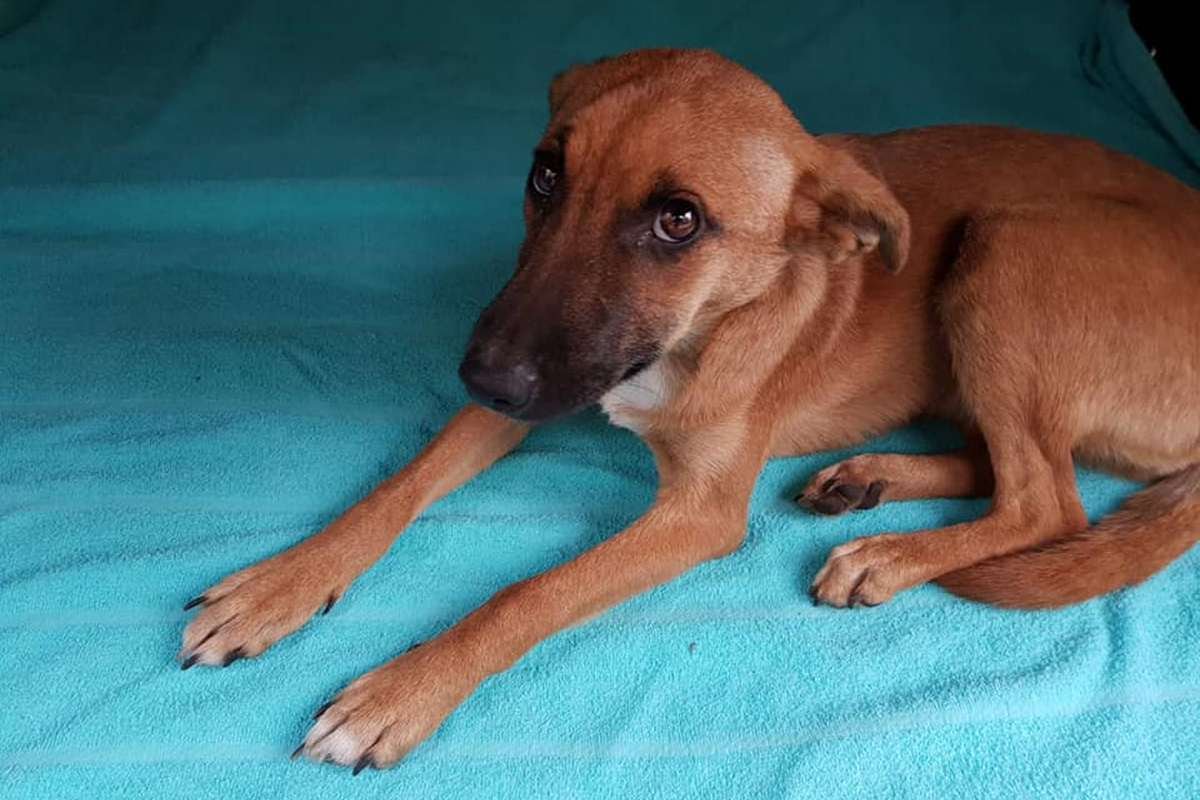 Предательство человека — самое страшное разочарование Предательство человека — самое страшное разочарование