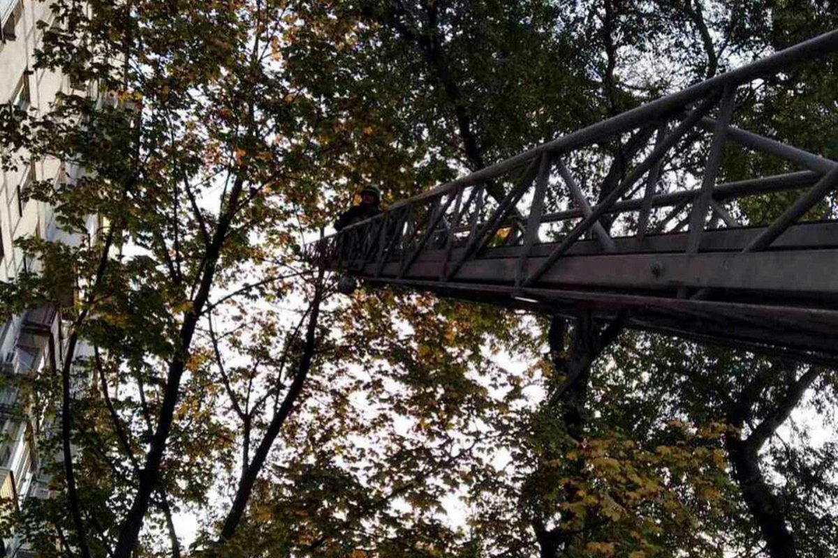 Для спасения использовали автолестницу Для спасения использовали автолестницу