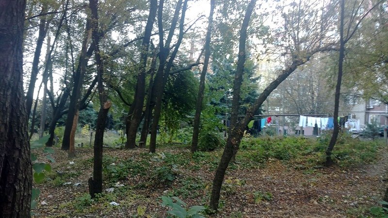 Сейчас этот участок Космической выглядит заброшенным  Сейчас этот участок Космической выглядит заброшенным