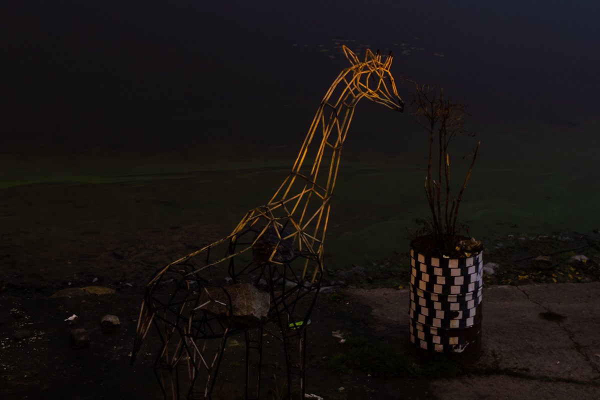 Фото: Дмитрий Федоров Фото: Дмитрий Федоров