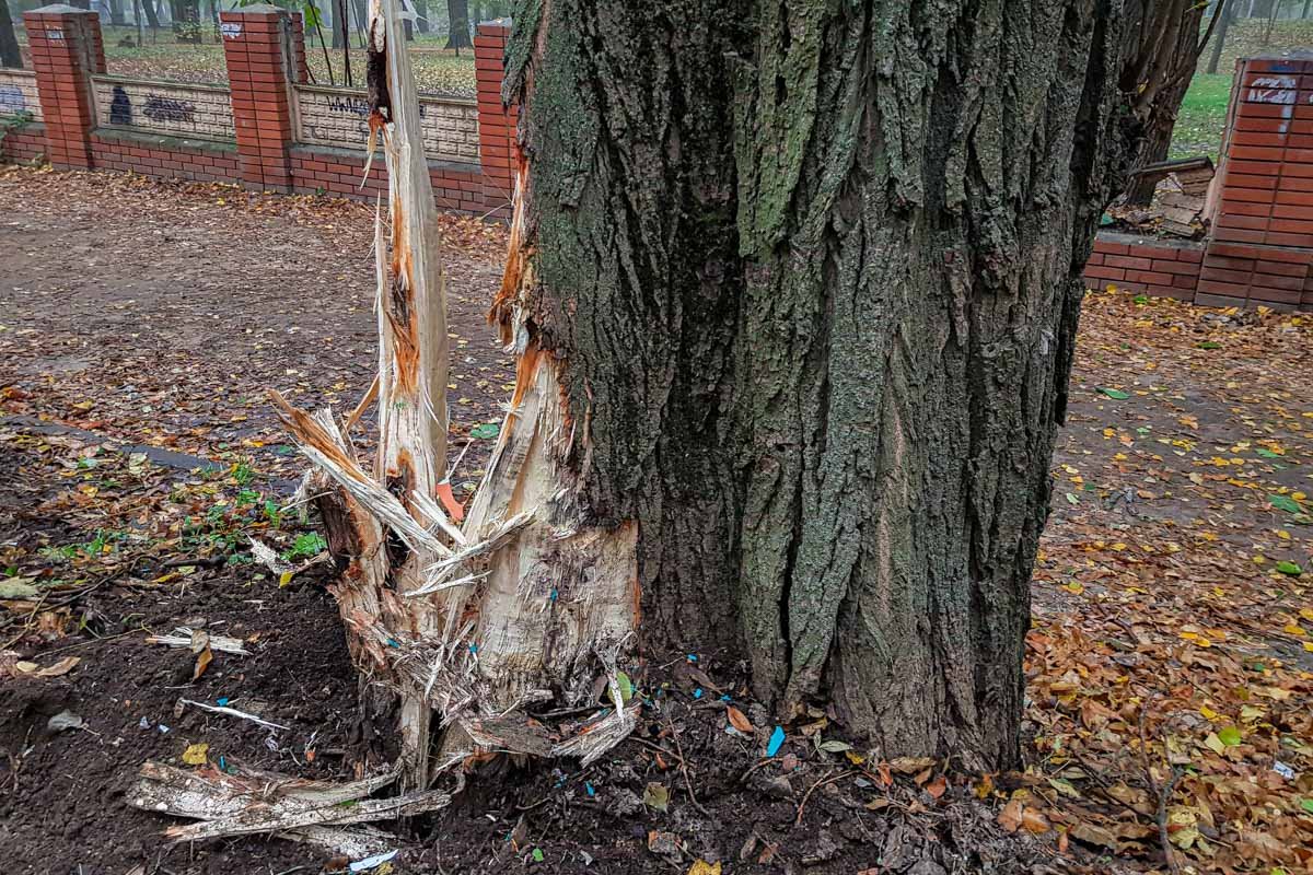 Срезал Срезал