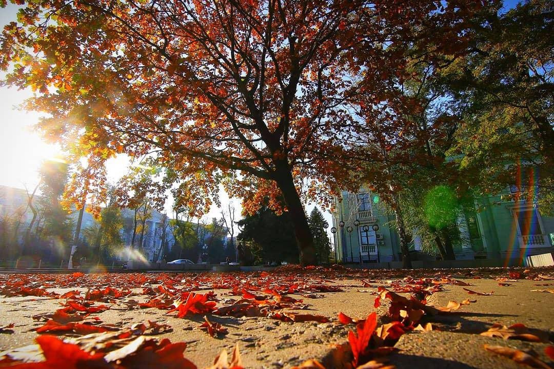 Фото: super.diveev Фото: super.diveev