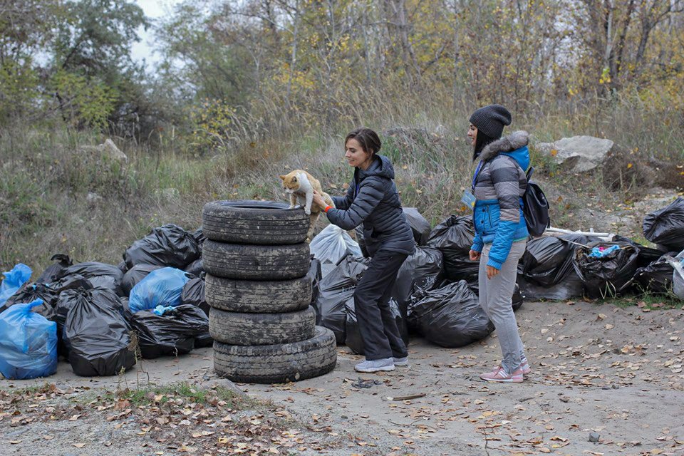 Четырехлапые помощники