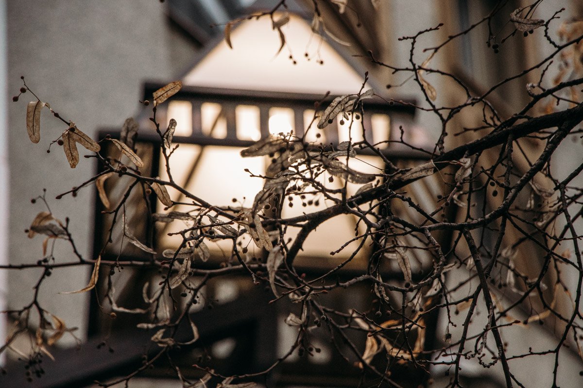 Наслаждайтесь осенью Наслаждайтесь осенью