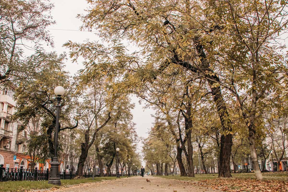 Шуршите листиками  Шуршите листиками