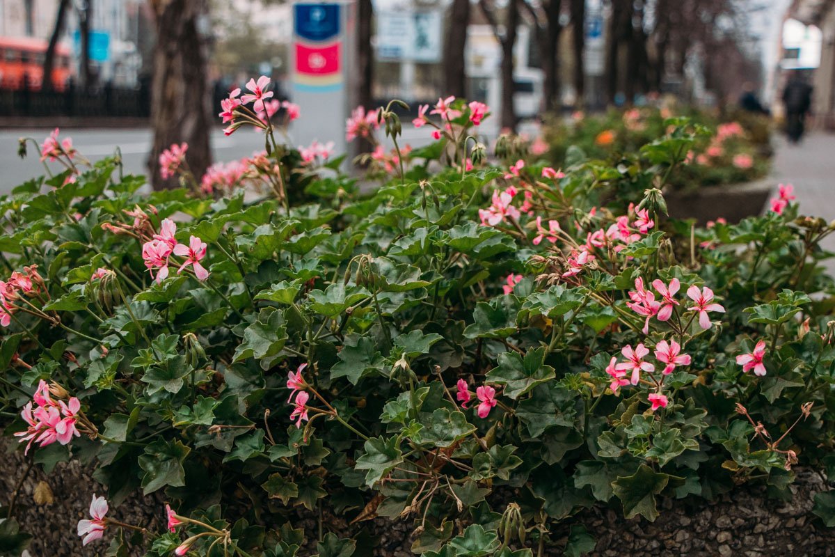 Лето еще пытается держаться Лето еще пытается держаться