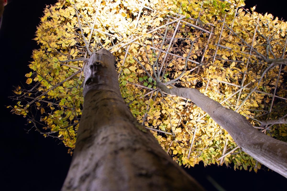 Разрыдаюсь косым дождем; знаешь, я так соскучился!