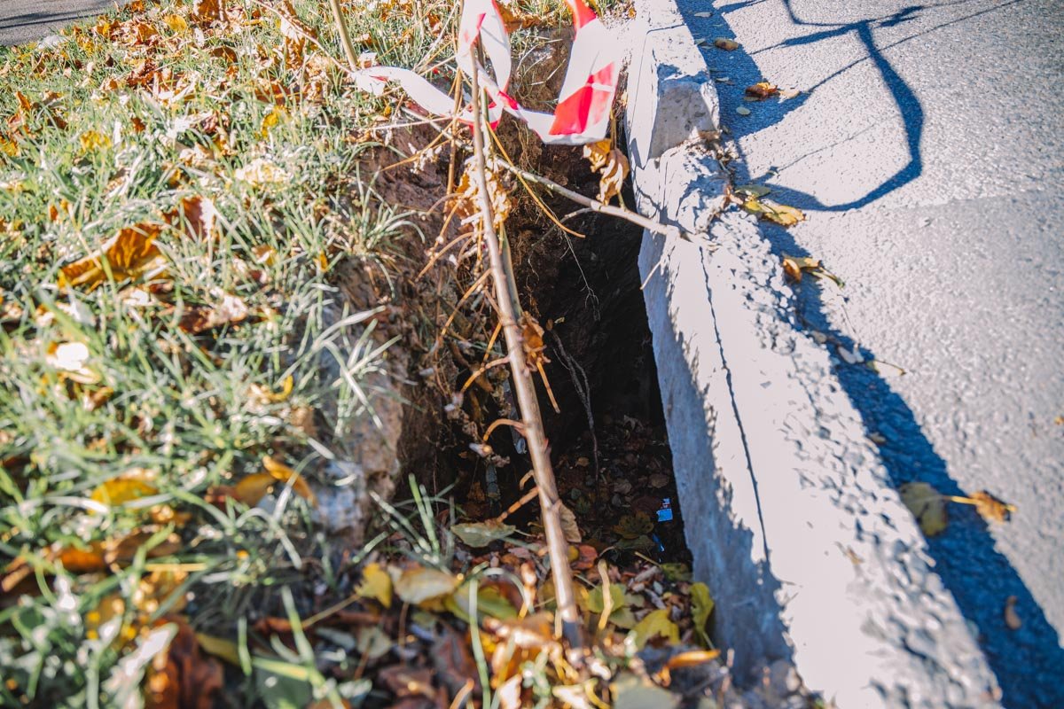 В яму могут угодить домашние животные или колеса автомобилей В яму могут угодить домашние животные или колеса автомобилей