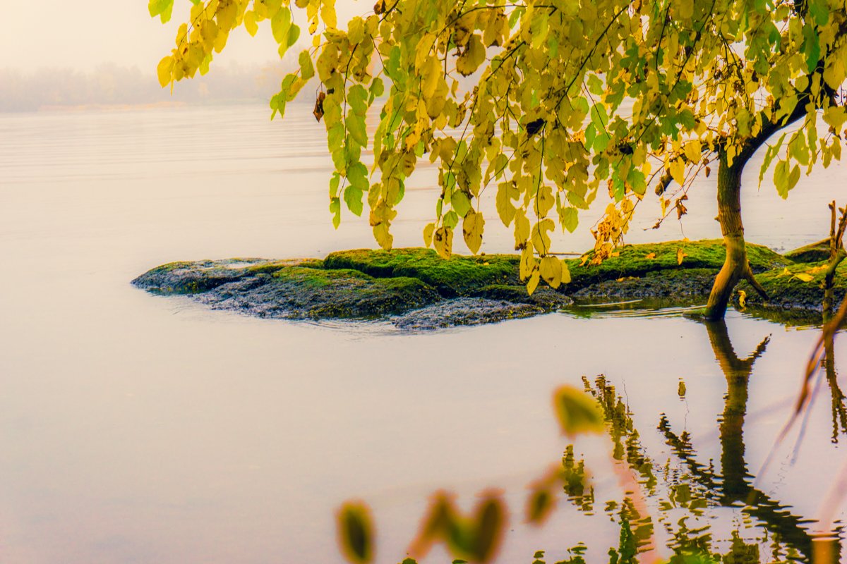 Неповторимый цвет листьев Неповторимый цвет листьев