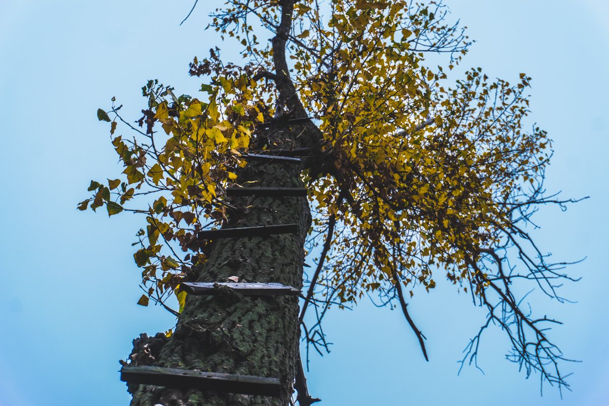 Лестница в небо Лестница в небо