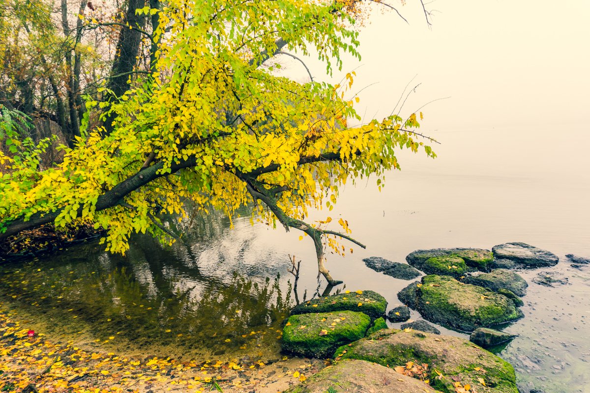 Наедине с природой Наедине с природой