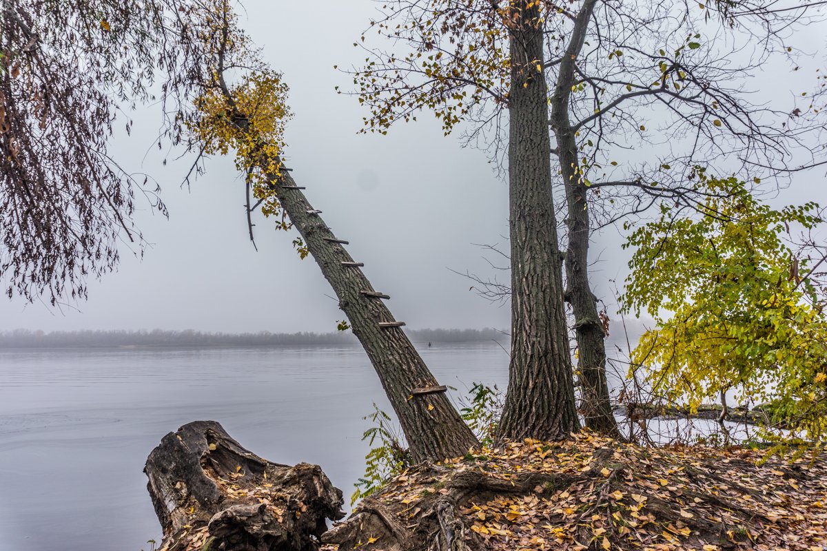Чтобы посмотреть на все свысока Чтобы посмотреть на все свысока
