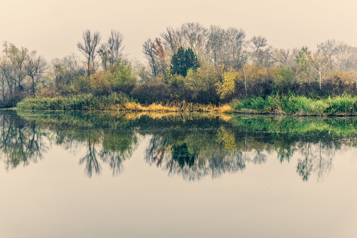 Отображаясь в зеркальной глади Отображаясь в зеркальной глади