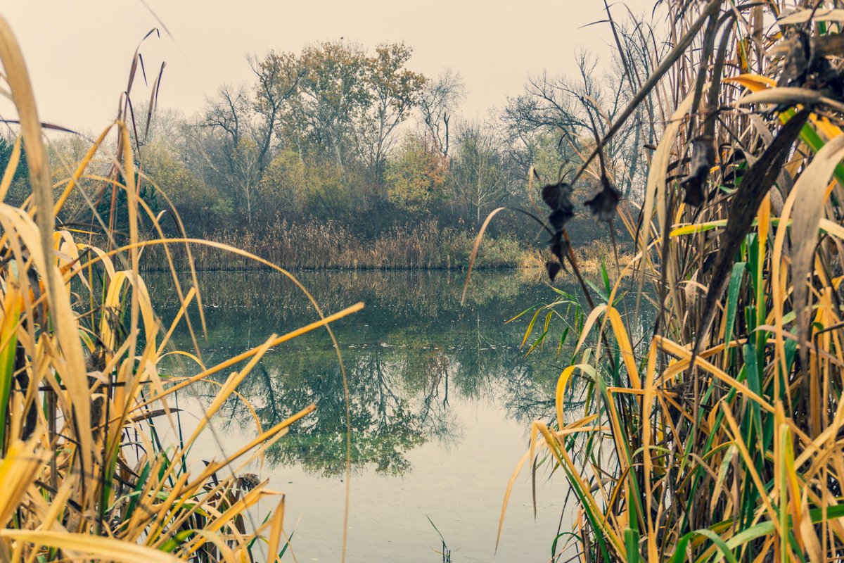 Закулисье  Закулисье
