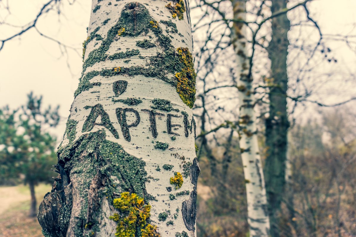 На долгую память На долгую память