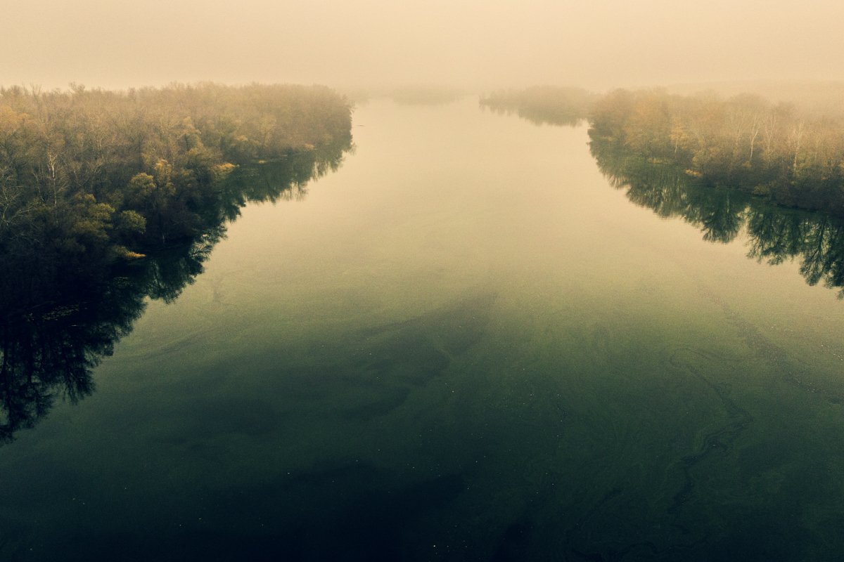 Утренний туман над рекой Утренний туман над рекой