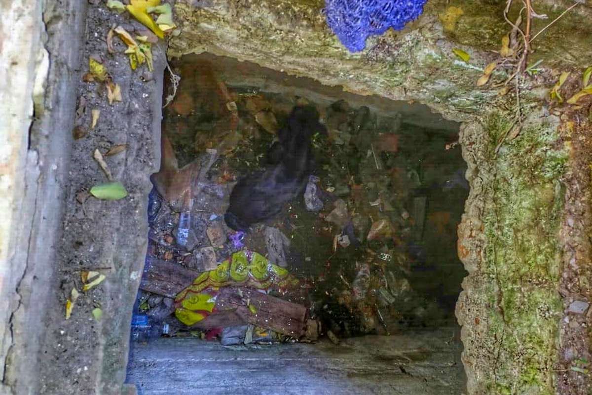 В Днепре песик упал в смотровую яму гаража и не смог выбраться 1