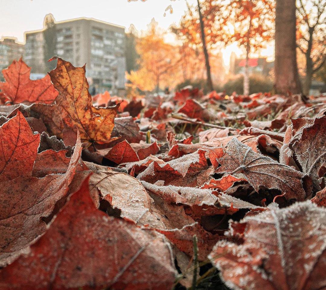 Фото: garackevich.irina Фото: garackevich.irina