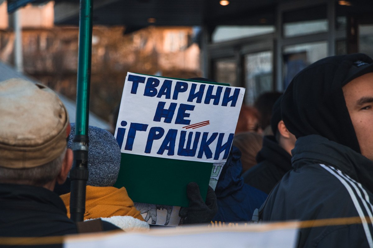 Люди вооружились плакатами