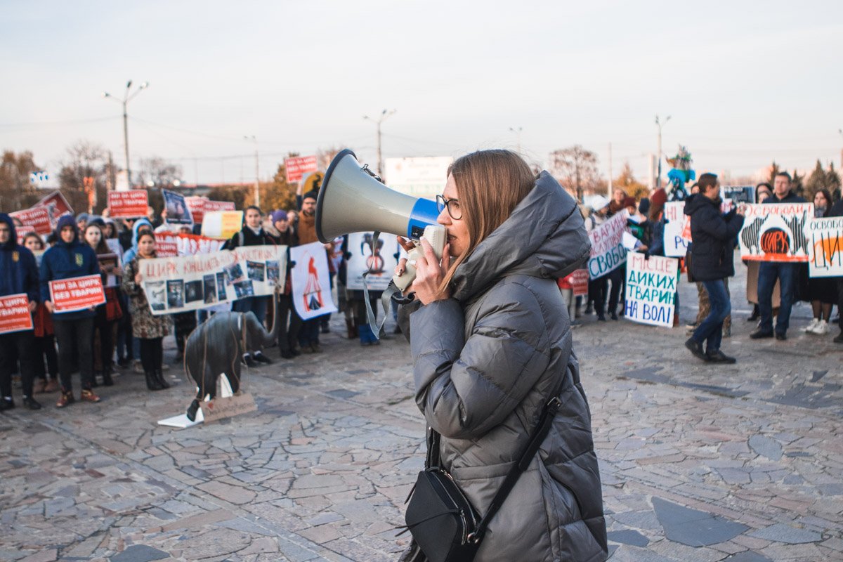 Кроме цирка существует так много интересных мест