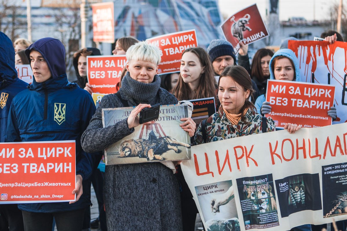 Зоозащитники на страже 