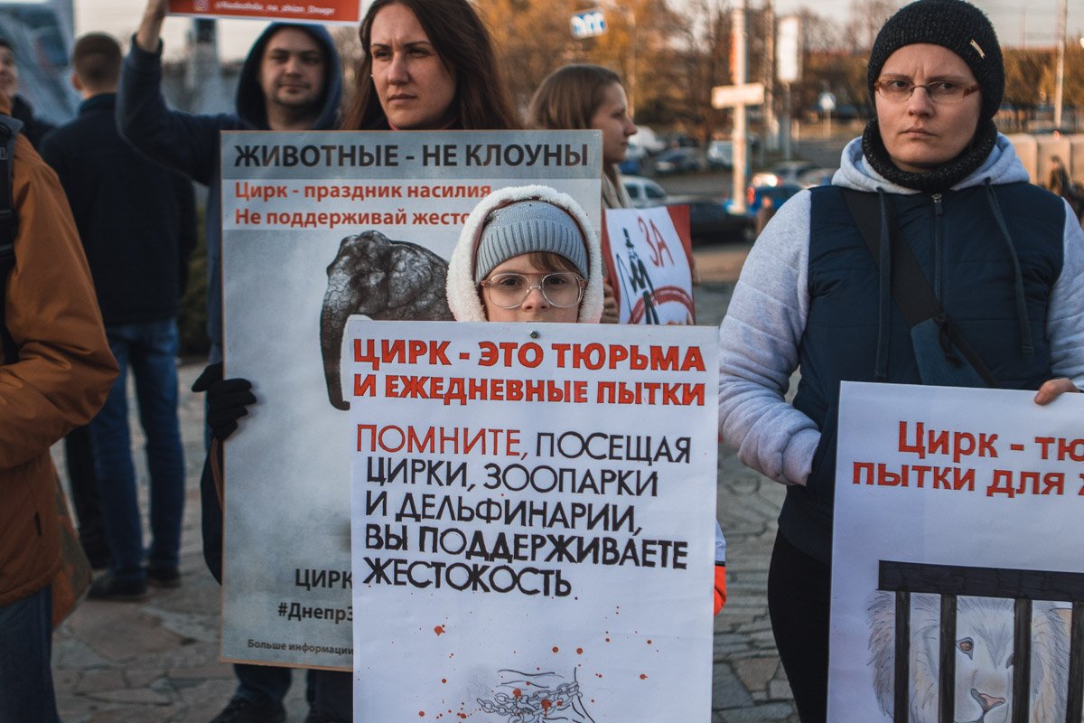 Детей нужно воспитывать в любви к животным