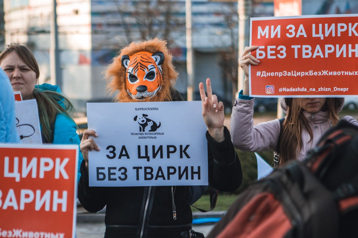 Цирк с животными - зло