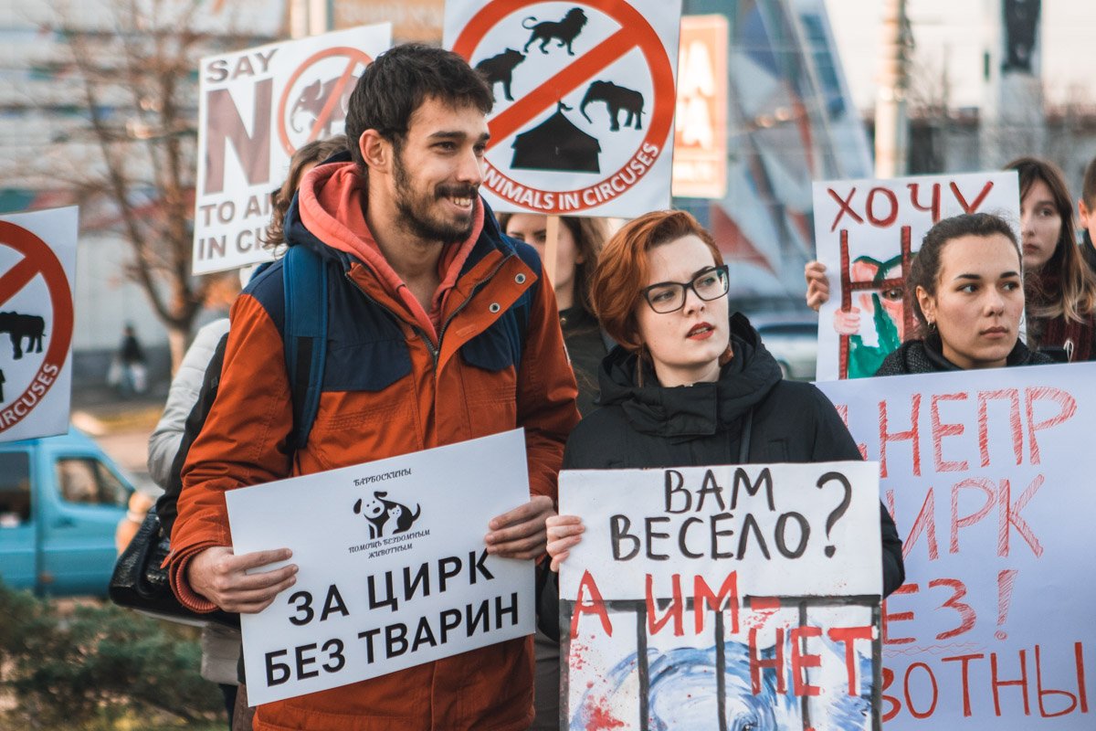 Любите братьев наших меньших