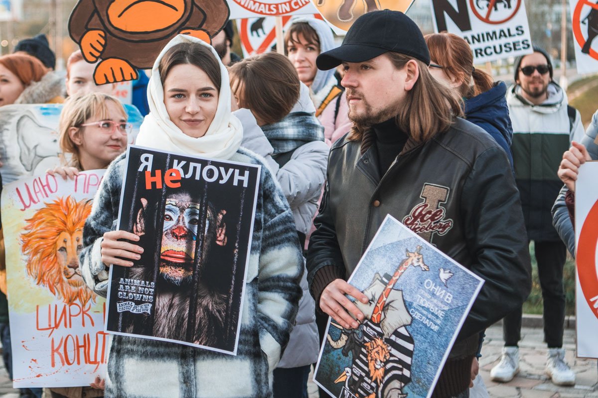 Дети должны понимать, что животные - не игрушки