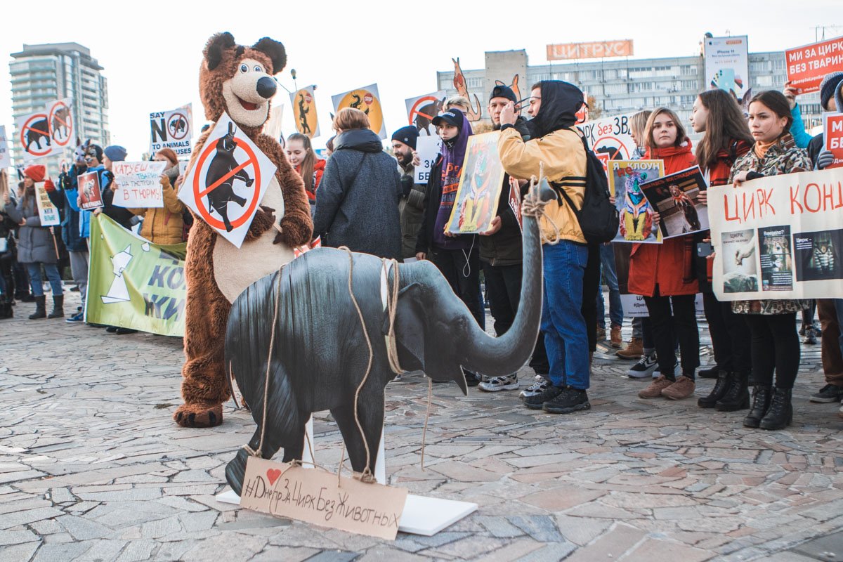 Несчастные слоники