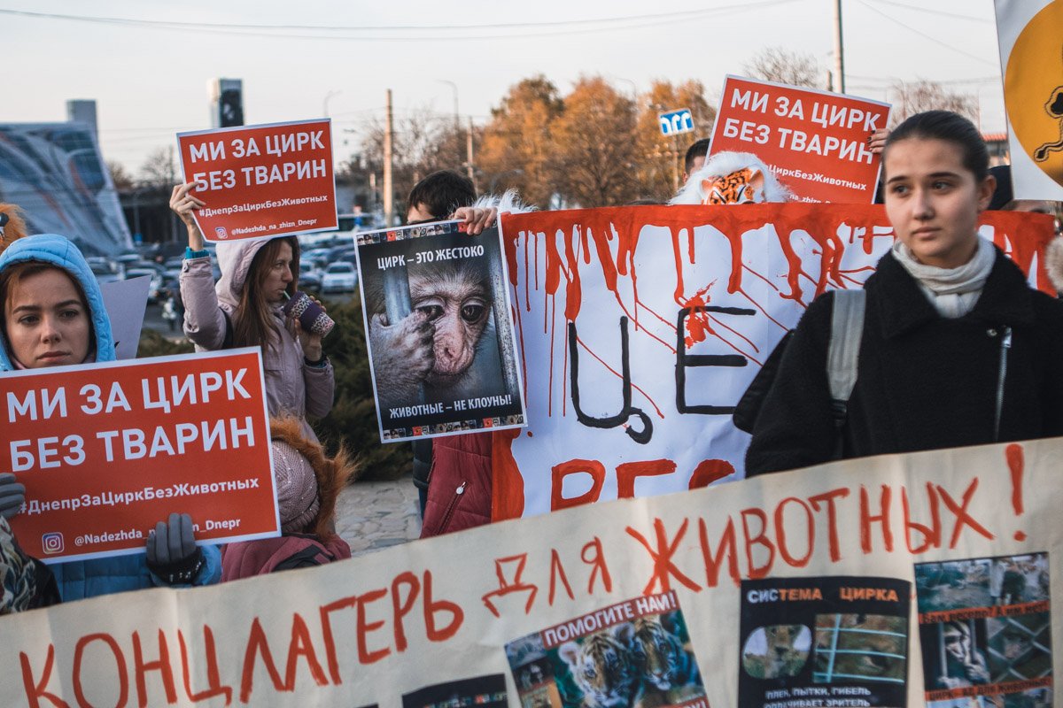 Цирк с животными должны запретить