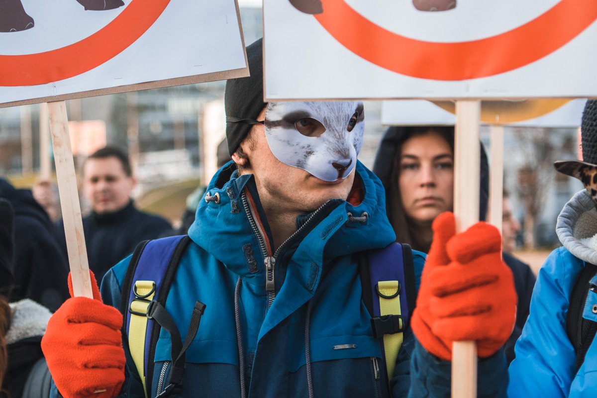 Зайчик против жестокости
