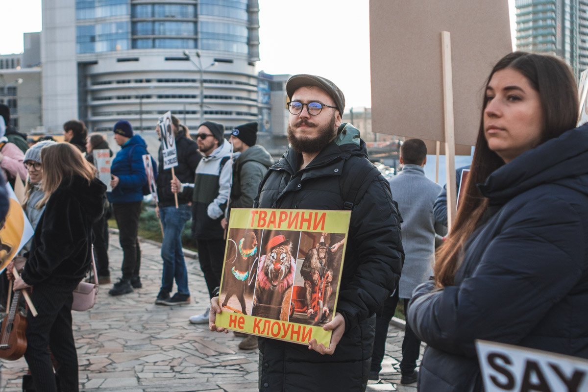 Животные - не клоуны