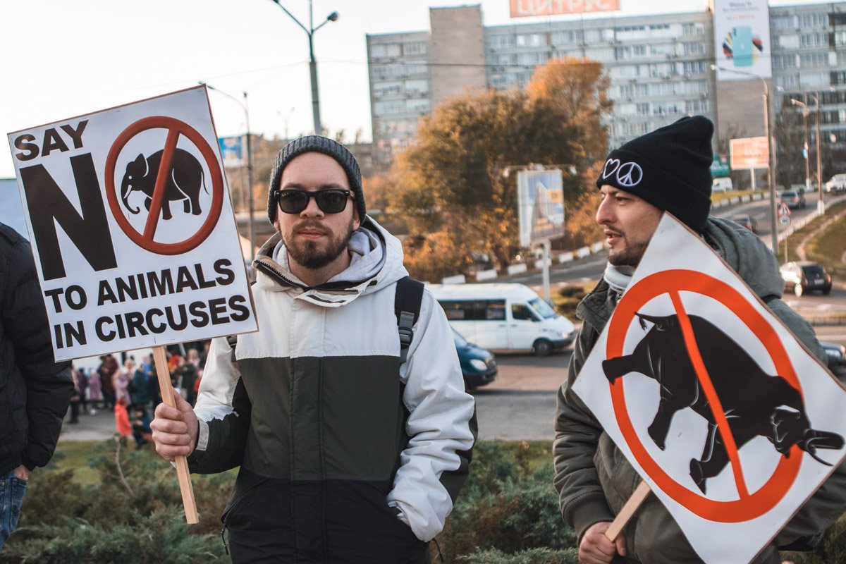 Нет жестокости 