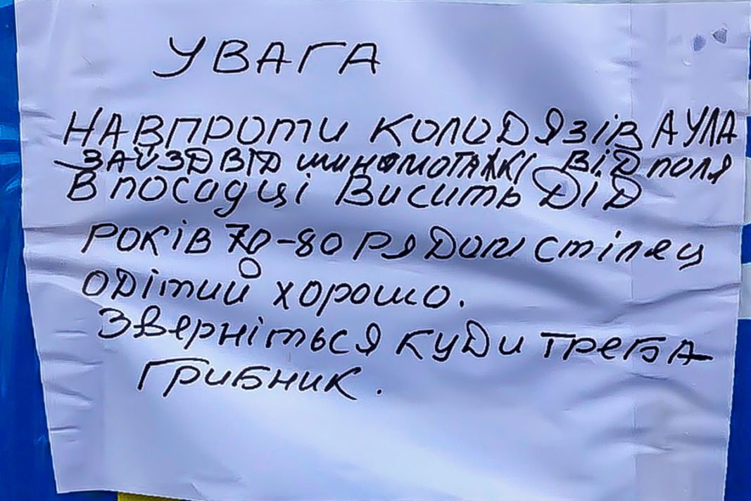 Объявление висело на остановке 151-го маршрута Объявление висело на остановке 151-го маршрута