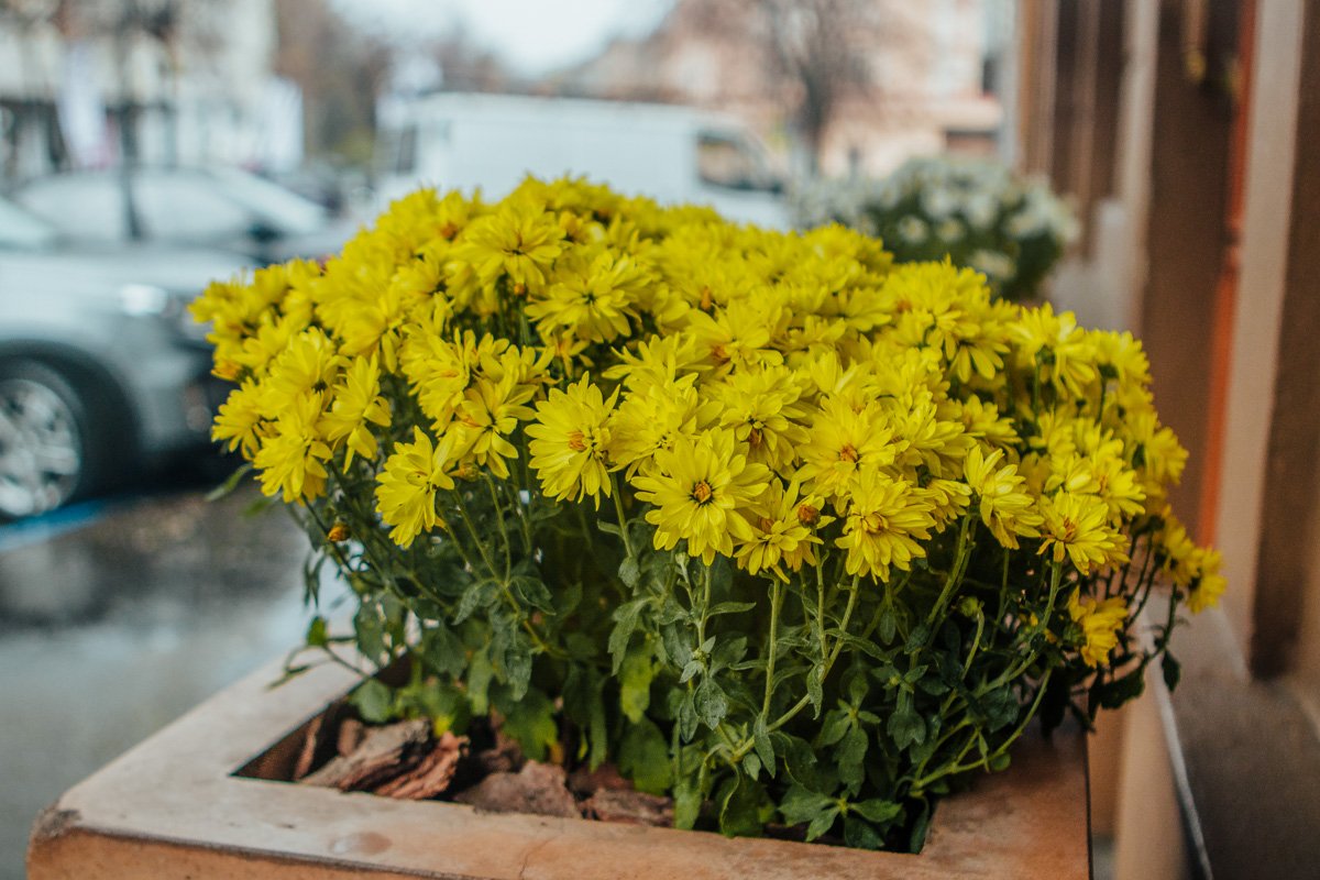 Находите солнце в любую погоду