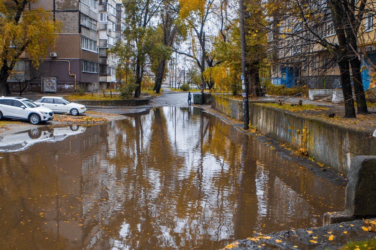Ждем, когда высохнет Ждем, когда высохнет