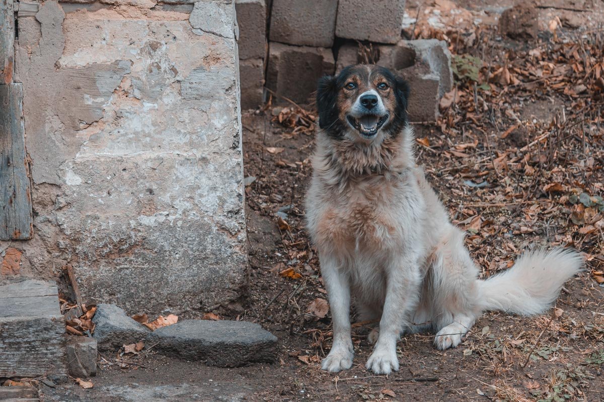 В Днепре сохранилось уникальное здание 5
