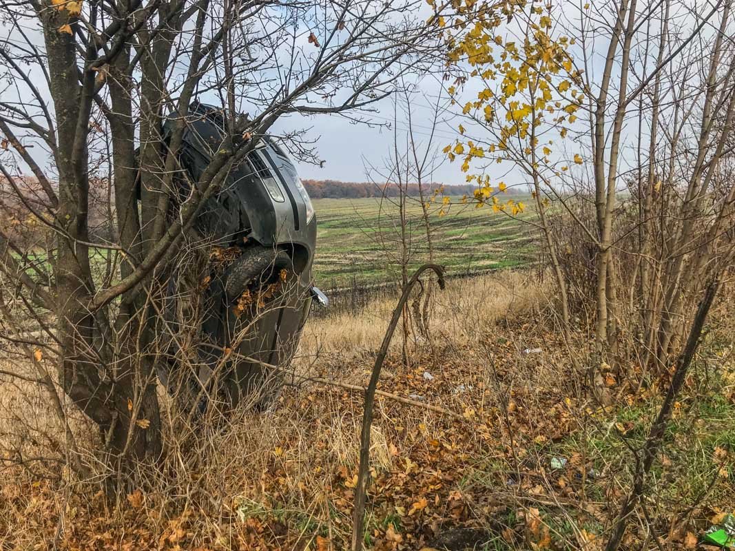 Автомобиль буквально повис на дереве