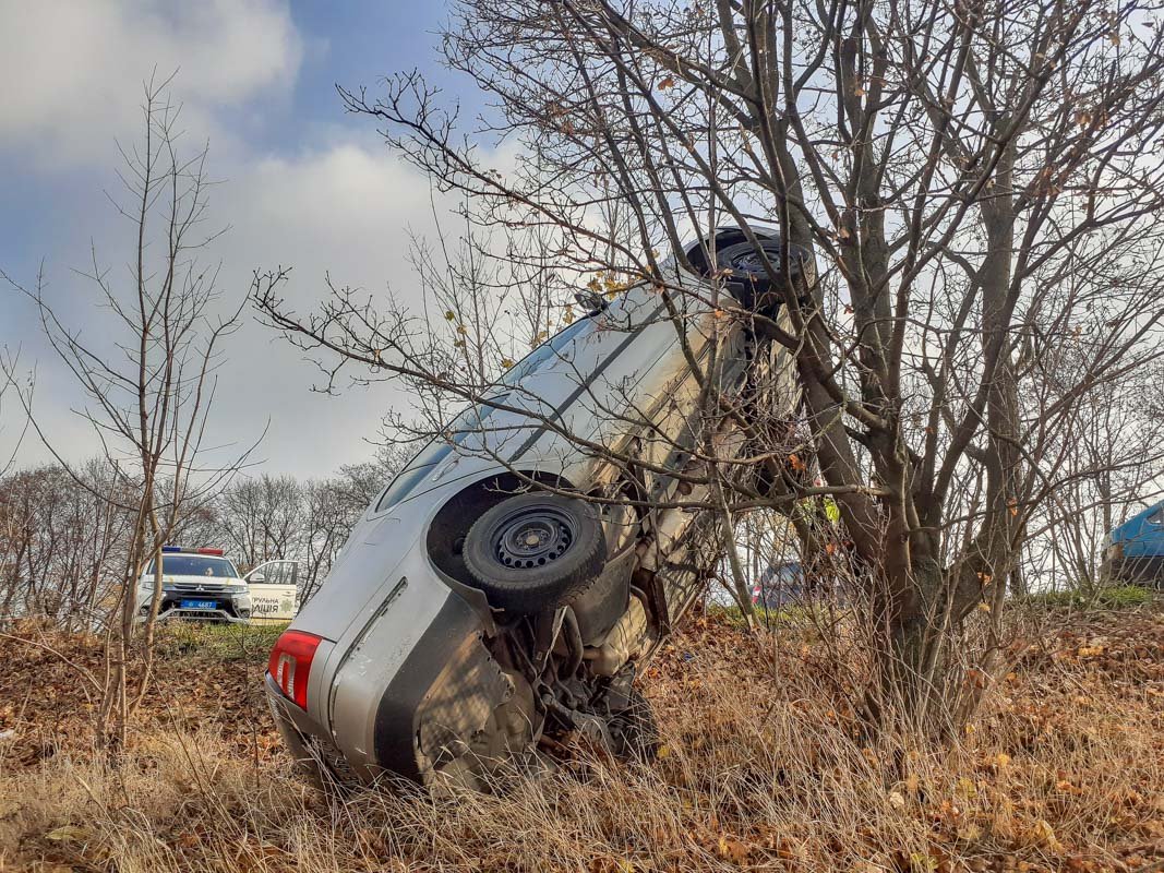 Все остались целыми и невредимыми