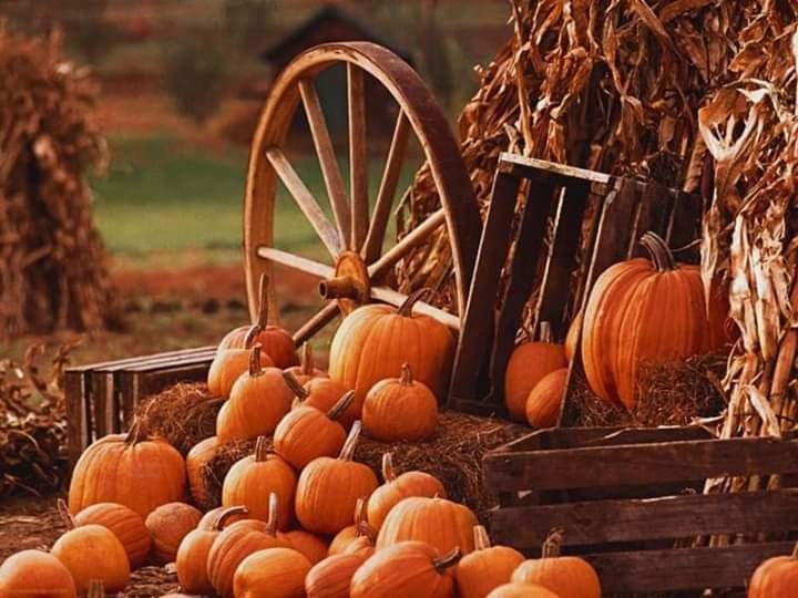 9 ноября в Днепре: куда пойти сегодня 2