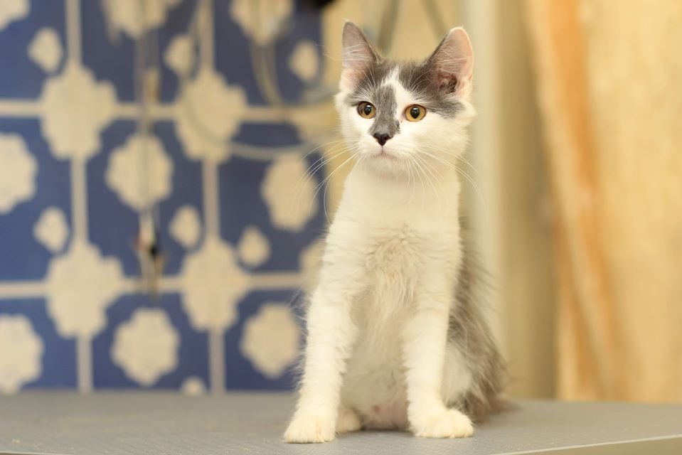 Маленький Сеня