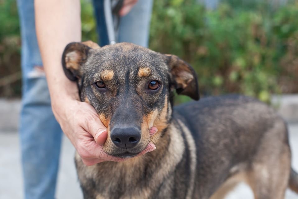 Большая Жужа